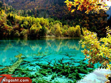 جاذبه گردشگری کشور چین