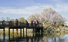 پارک Yuan Ming Yuan