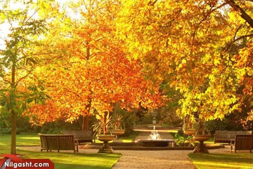 سفر به گوانجو در کشور چین