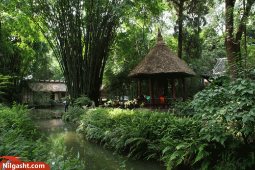 بازدید از Du Fu Thatched Cottage در سفر به چنگدو چین
