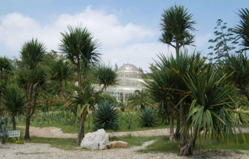 باغ گیاه‌ شناسی شیامن