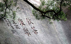 باغ گیاه‌ شناسی شیامن و جادوی هنر خوشنویسی چینی