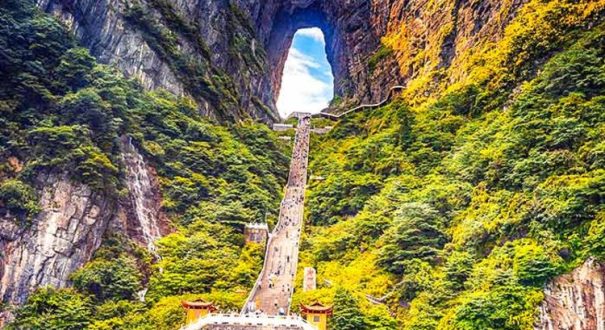 ژانگ جیاجی ژانگ جیاجی